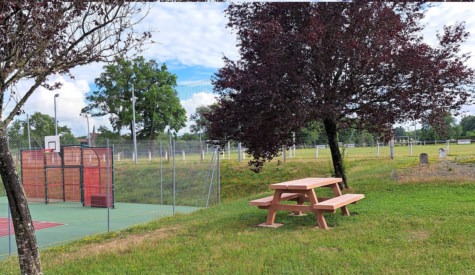 Description de l'image