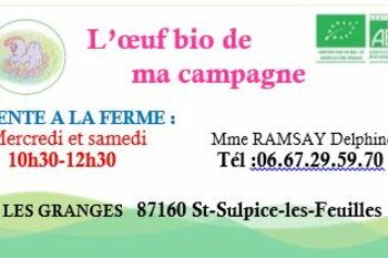 L'œuf bio de ma campagne