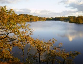 Office du tourisme en Haute Marche en Limousin